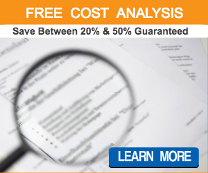 Cost Savings Analyis